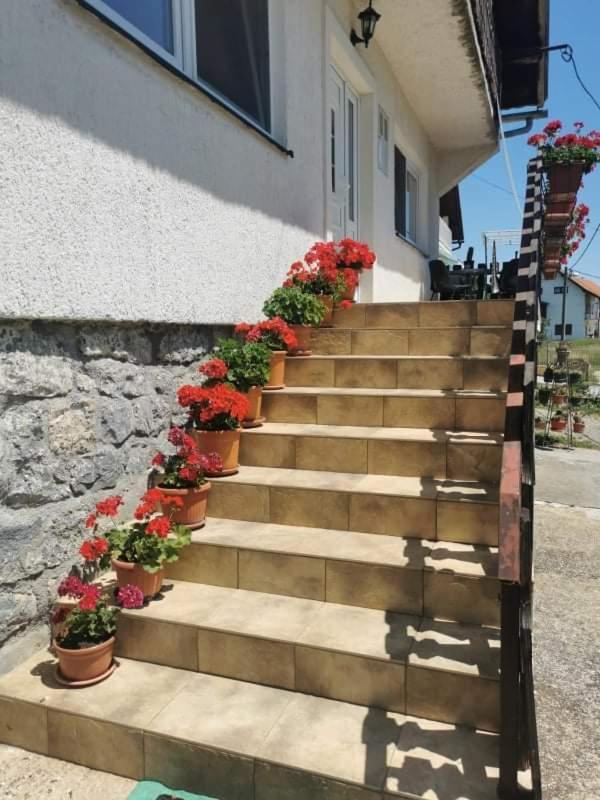 Apartman Pavelic Lovinac  外观 照片