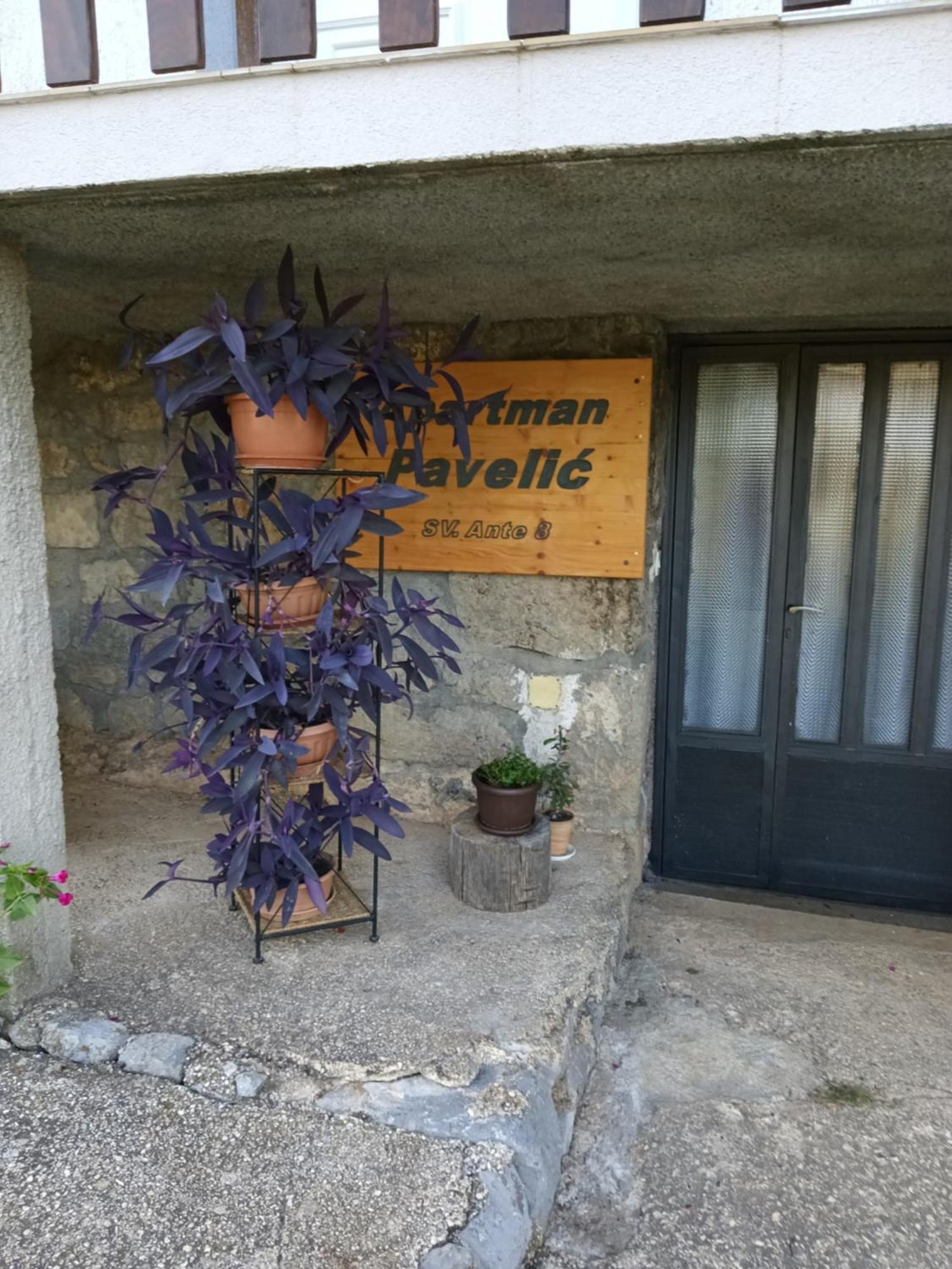 Apartman Pavelic Lovinac  外观 照片